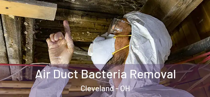  Air Duct Bacteria Removal Cleveland - OH