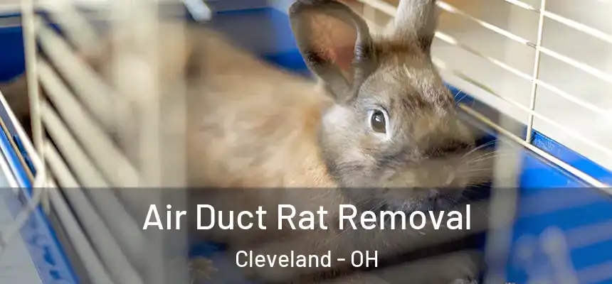 Air Duct Rat Removal Cleveland - OH