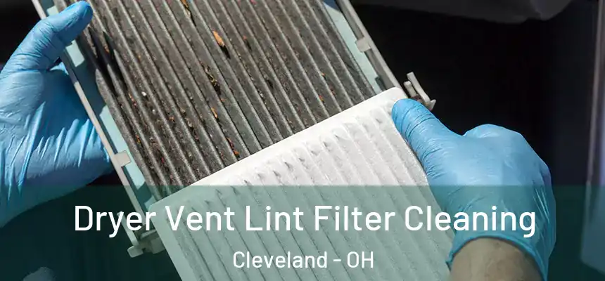 Dryer Vent Lint Filter Cleaning Cleveland - OH