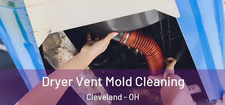 Dryer Vent Mold Cleaning Cleveland - OH