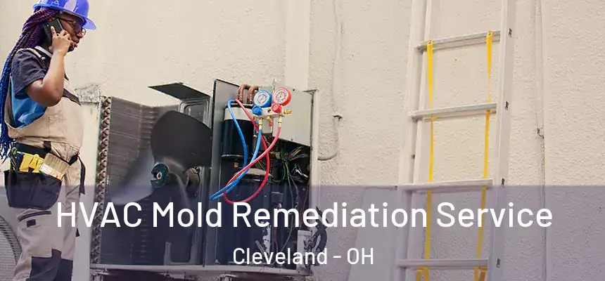 HVAC Mold Remediation Service Cleveland - OH