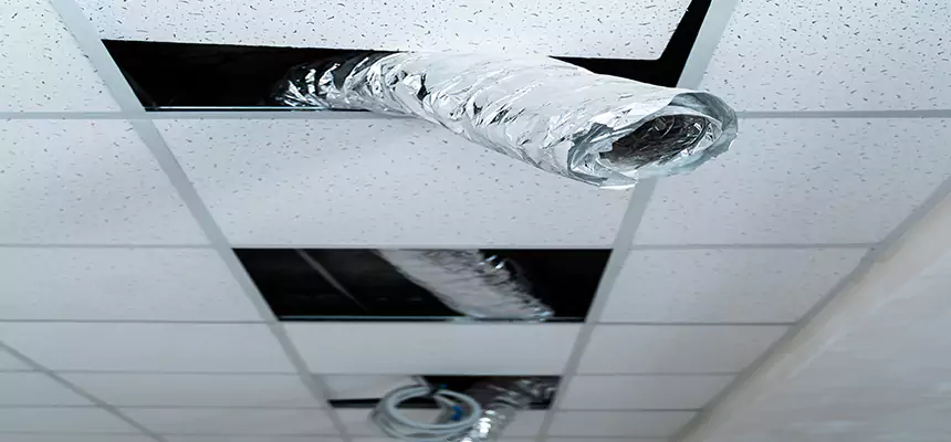 Affordable HVAC Sanitizing After Pest Removal in Cleveland