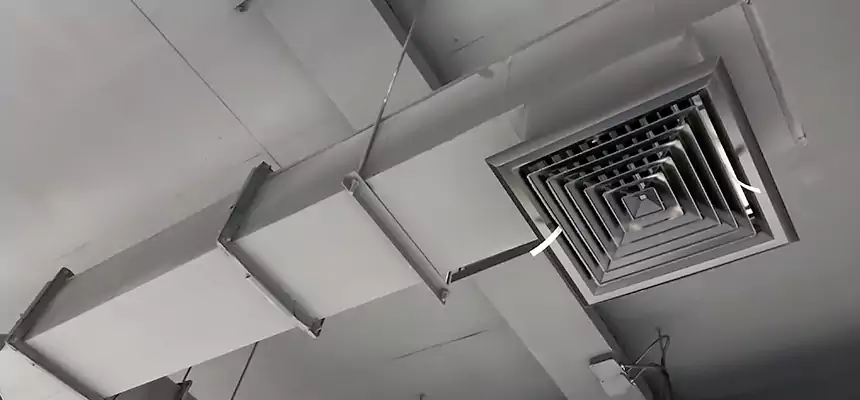 Our Rodent Droppings In Vents Services in Cleveland, OH