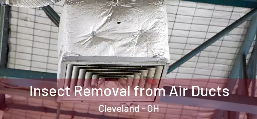 Insect Removal from Air Ducts Cleveland - OH