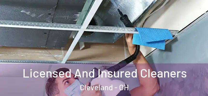 Licensed And Insured Cleaners Cleveland - OH