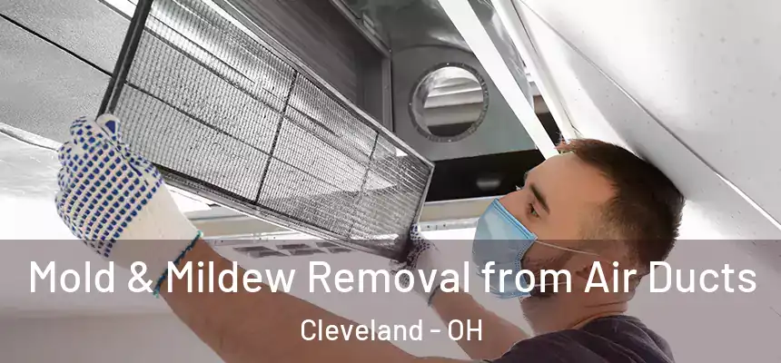 Mold & Mildew Removal from Air Ducts Cleveland - OH