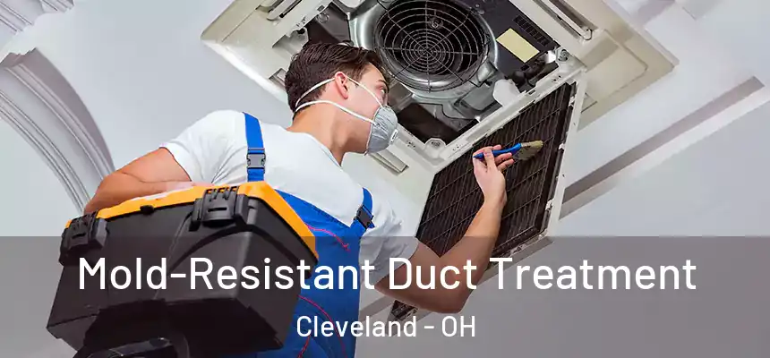 Mold-Resistant Duct Treatment Cleveland - OH