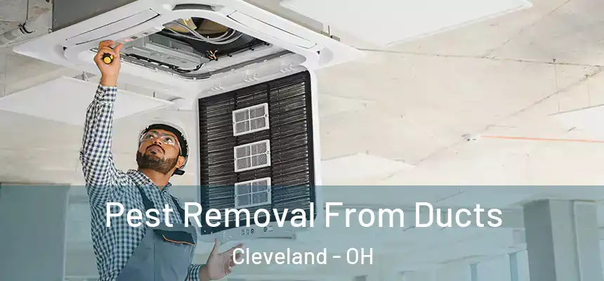 Pest Removal From Ducts Cleveland - OH