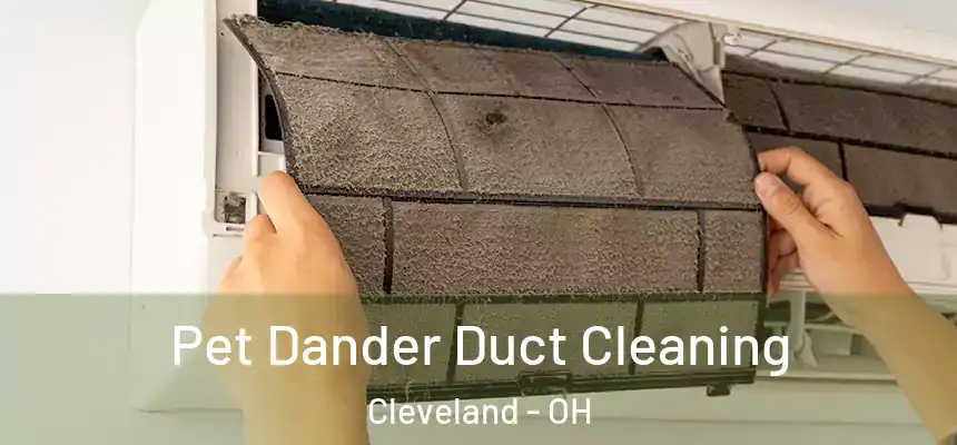 Pet Dander Duct Cleaning Cleveland - OH