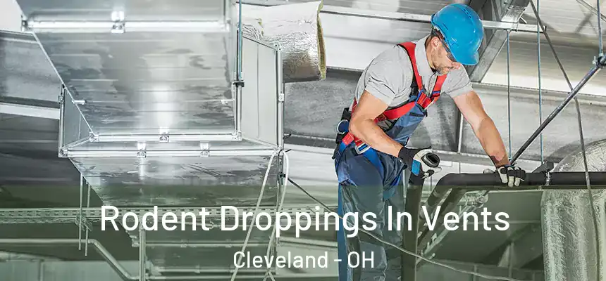 Rodent Droppings In Vents Cleveland - OH