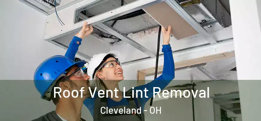 Roof Vent Lint Removal Cleveland - OH