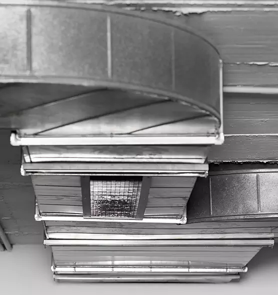 Professional Air Duct Pest Removal in Cleveland, OH