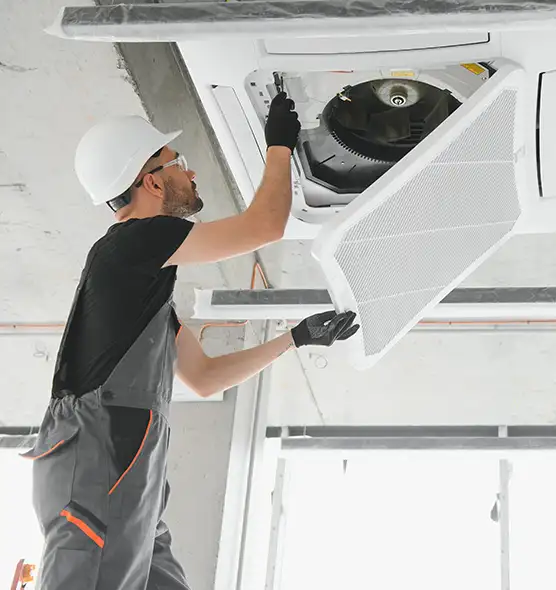 About Air Duct Rodent Removal in Cleveland, OH