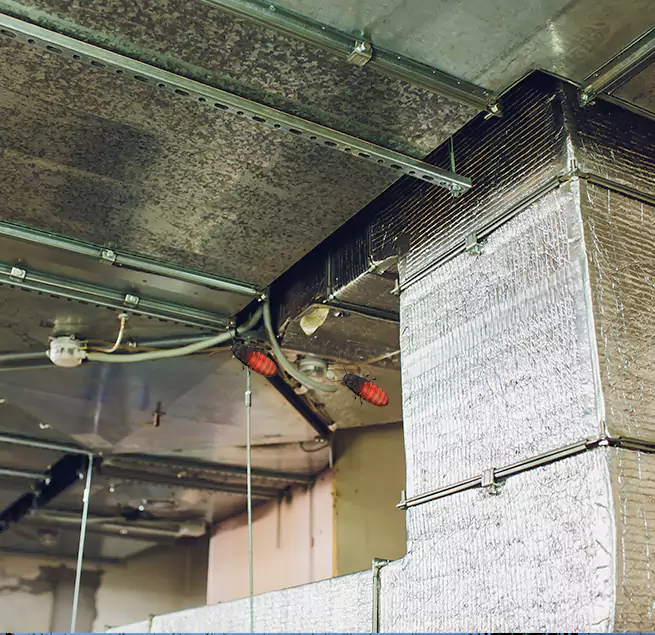 Why Homeowners & Businesses Trust Us in Cleveland, OH?