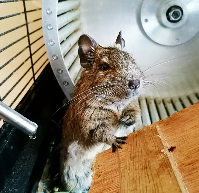 Why Homeowners & Businesses Trust Us Cleveland, OH