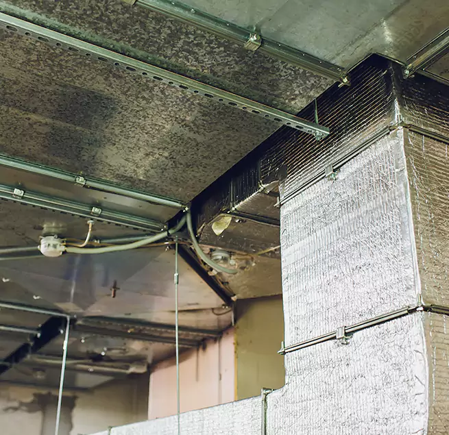 Why Homeowners & Businesses Trust Us in Cleveland, OH?